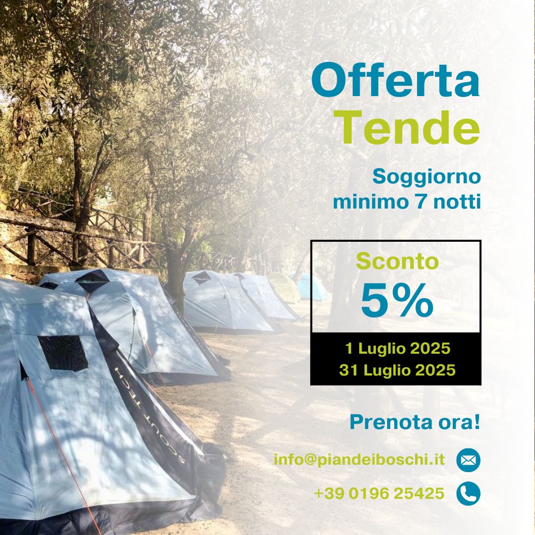 OFFERTE !!!!! COGLI L
